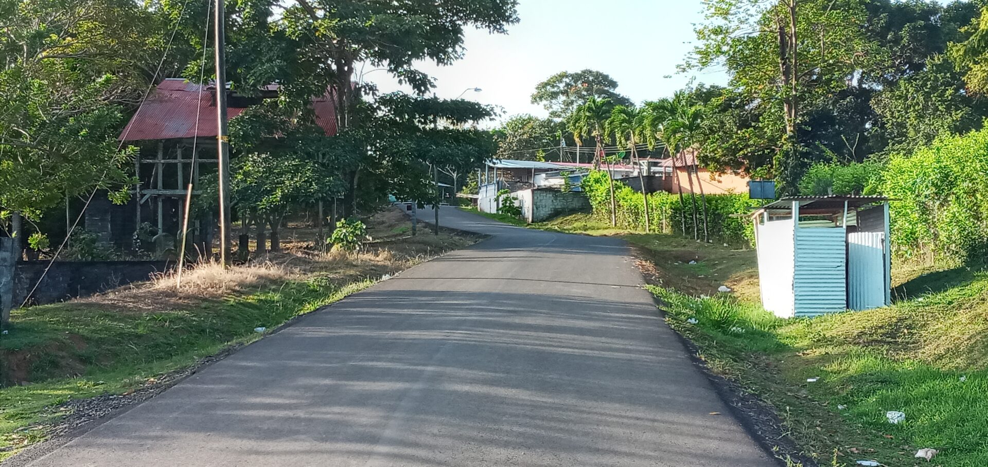 A quiet paved road winding through a green, rural landscape with trees and houses.