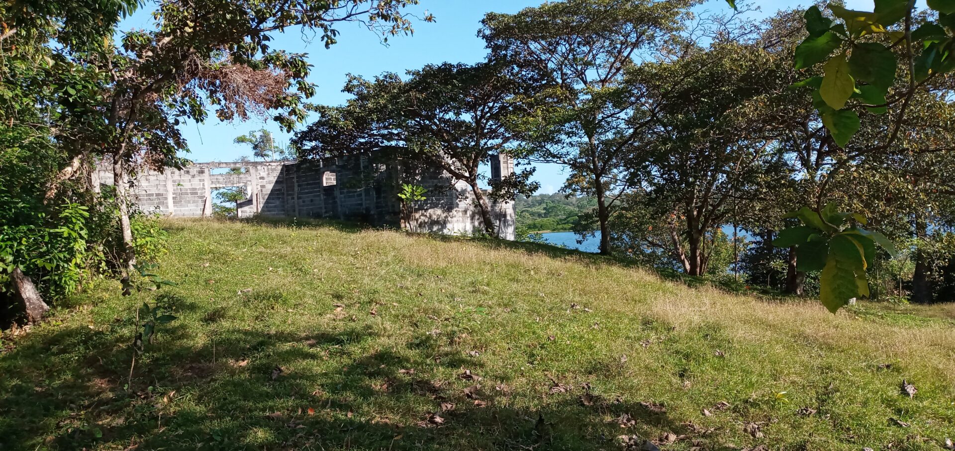 A small house surrounded by trees on a sunny grassy hill.