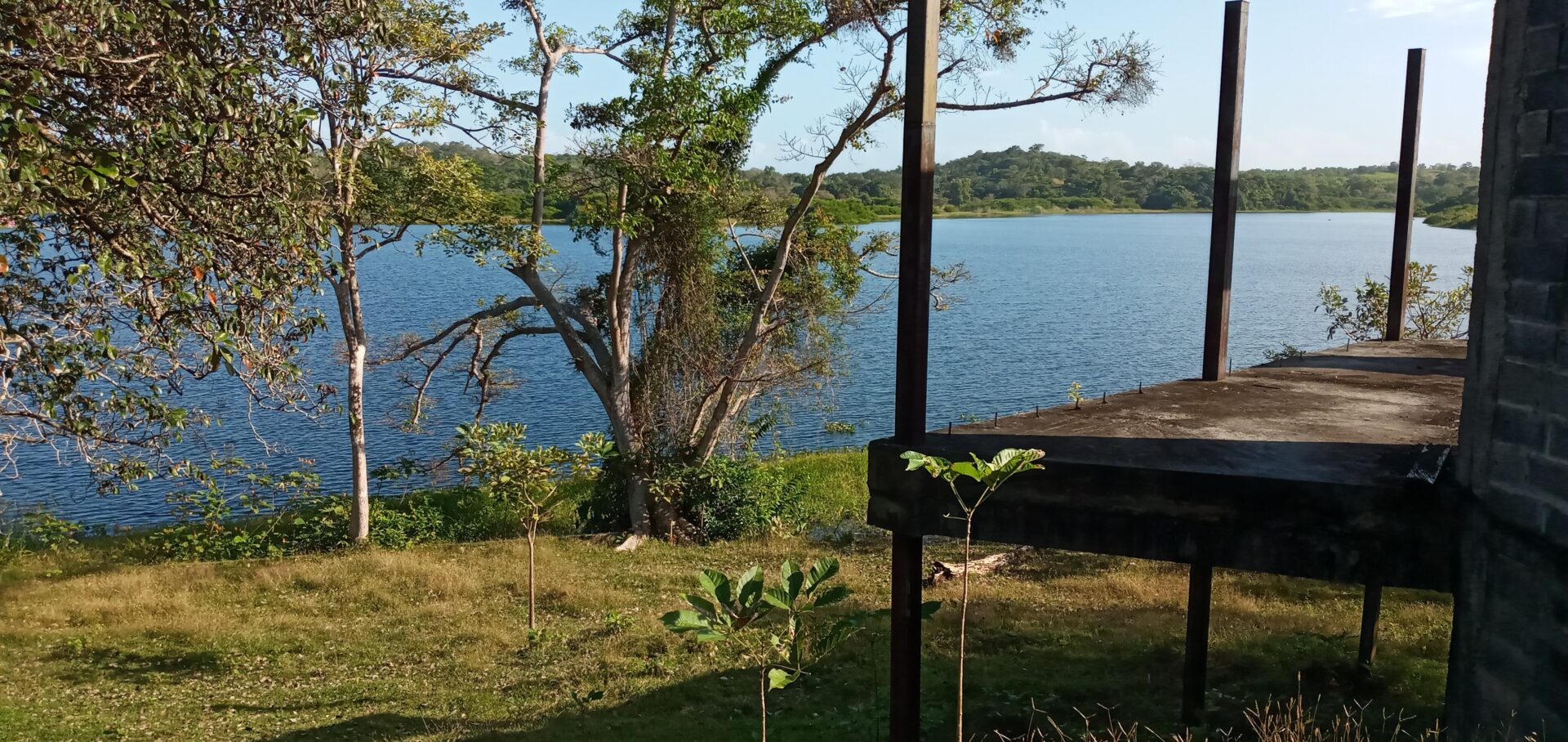 Serene lakeside view with trees and clear blue water.