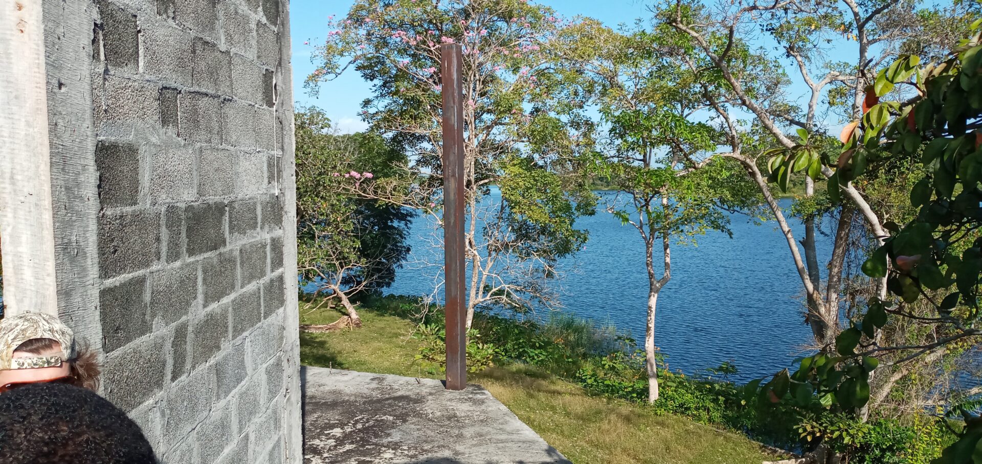 Tranquil lakeside view with trees and clear blue water under a sunny sky.