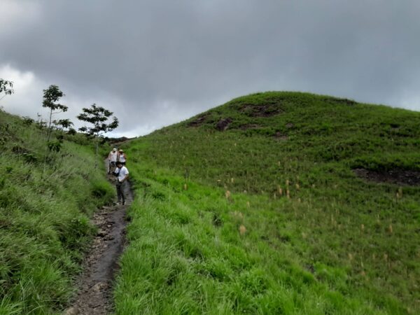 A person walking on the side of a hill
