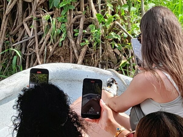 A woman is holding her phone up to take a picture.