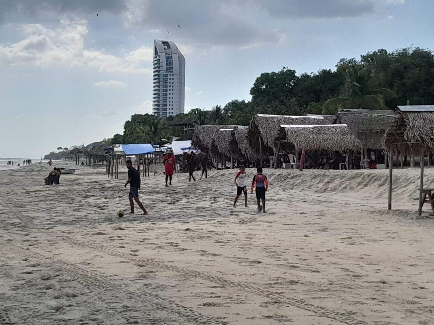 People walking on a sandy beach with buildings and greenery in the background.