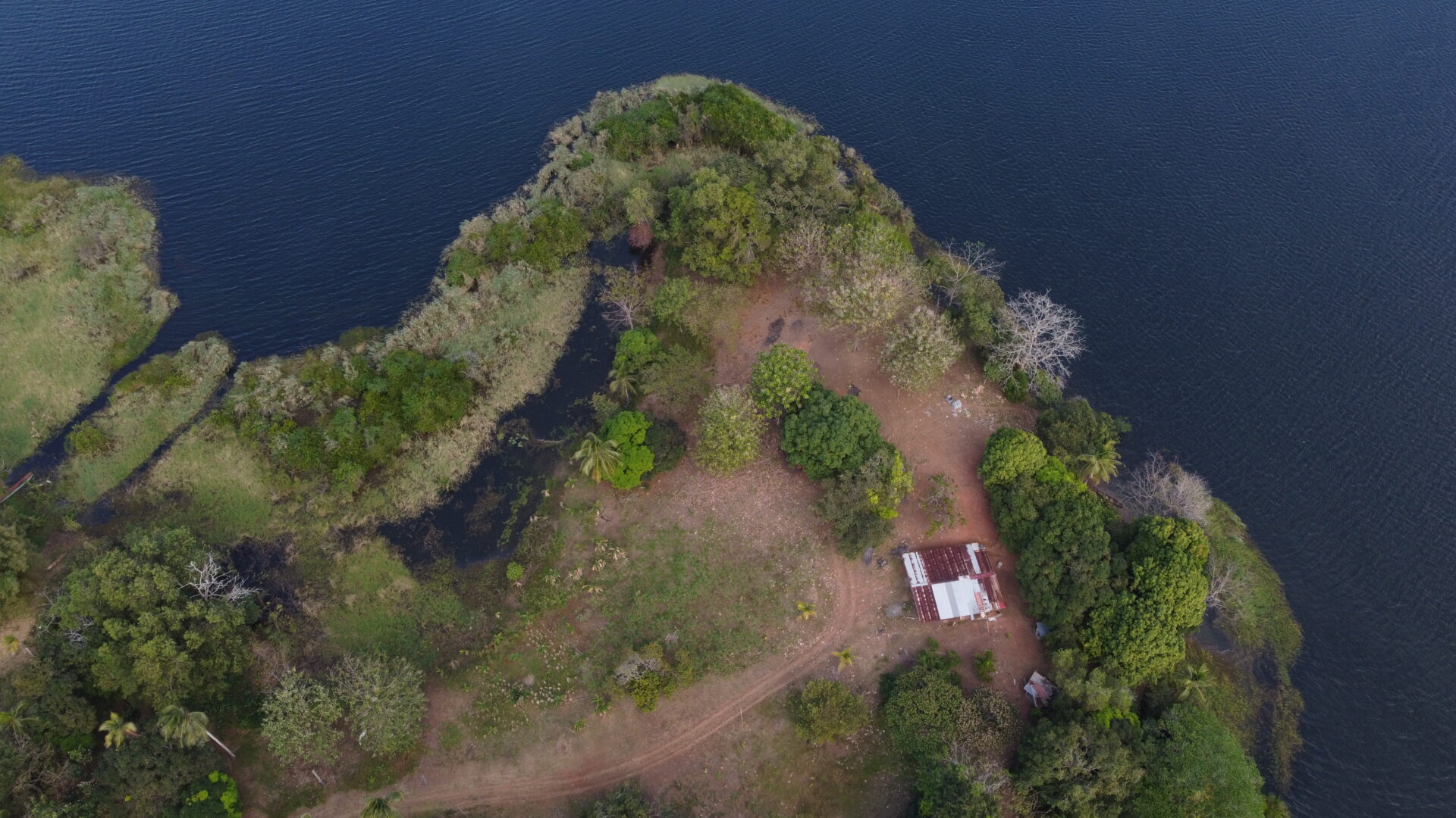 Aerial view of a small peninsula with greenery and a small building by the water.