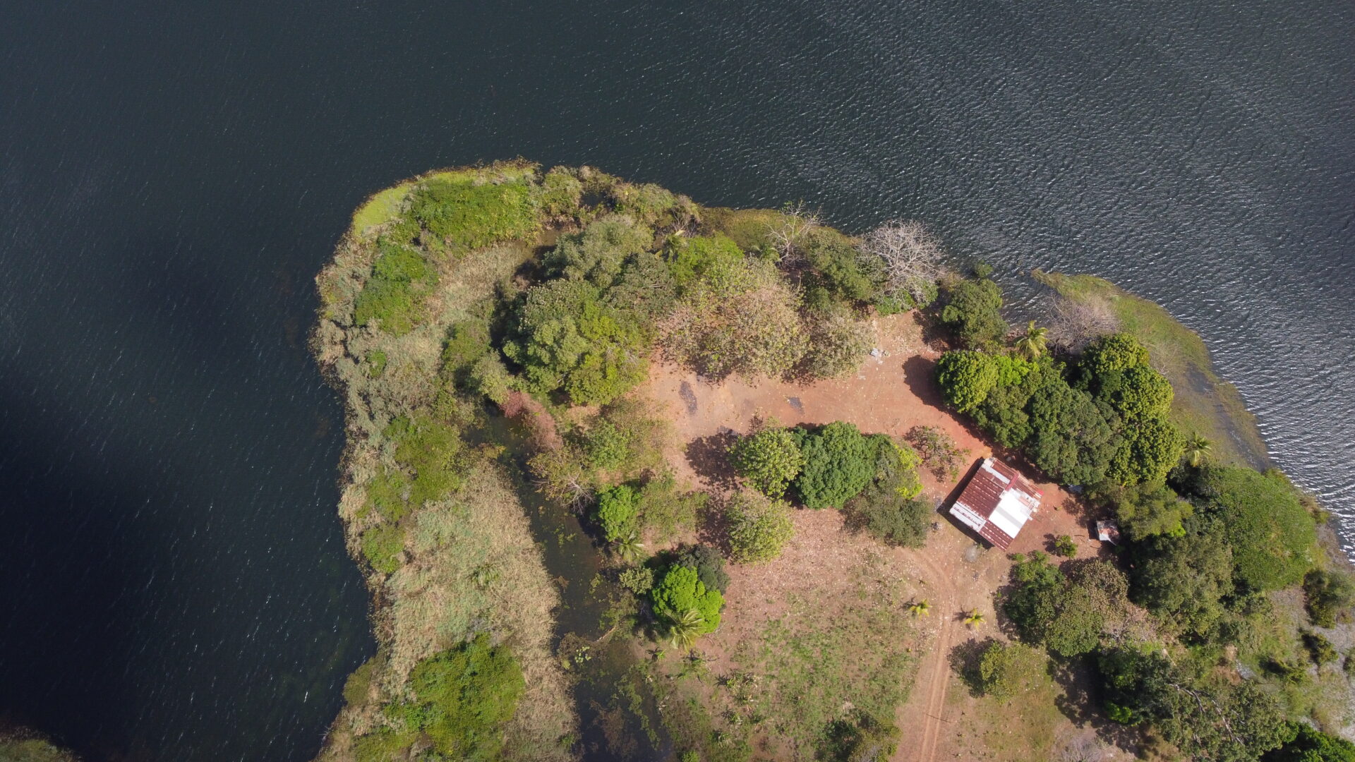 Aerial view of a small grassy island with a few trees and a building near water.