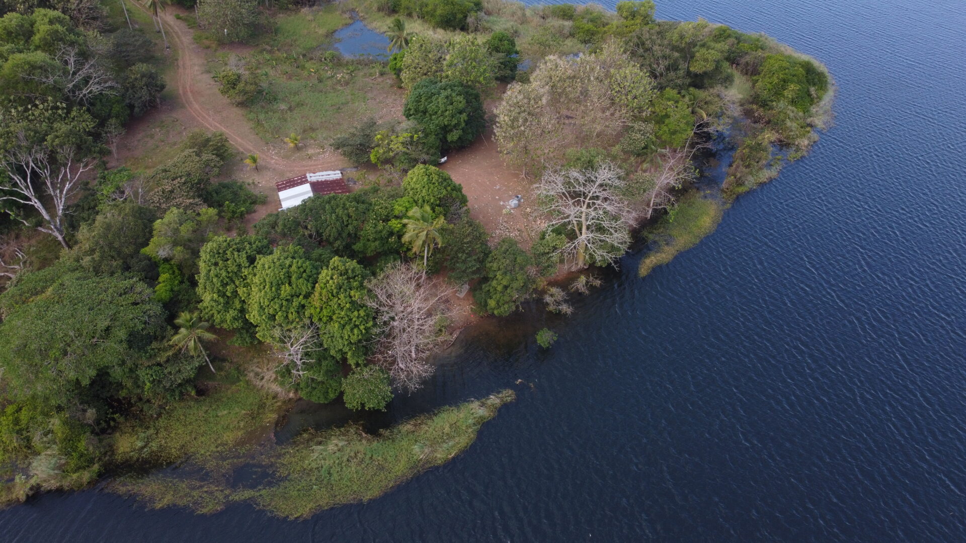 Aerial view of a lakeside area with trees and a small structure.