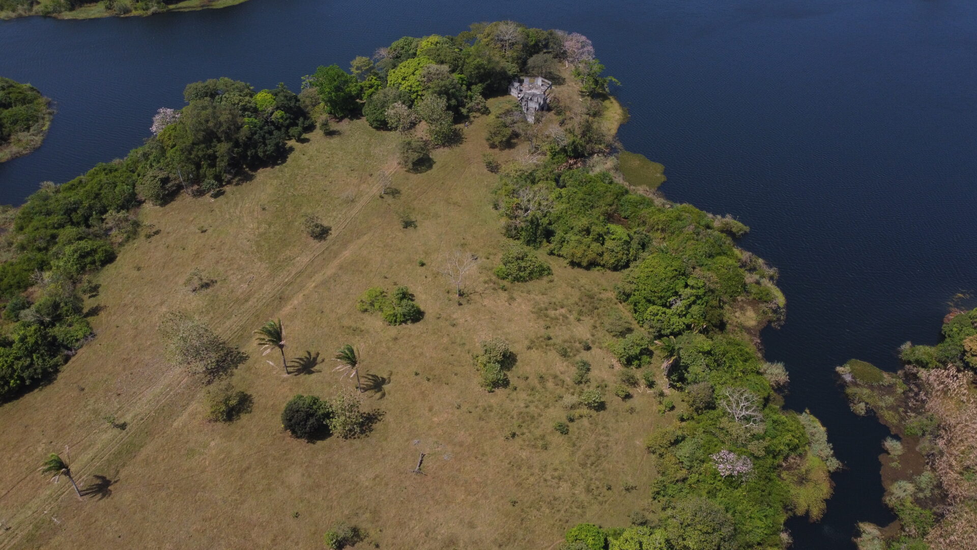 Aerial view of a lakeside clearing with scattered trees and bushes.