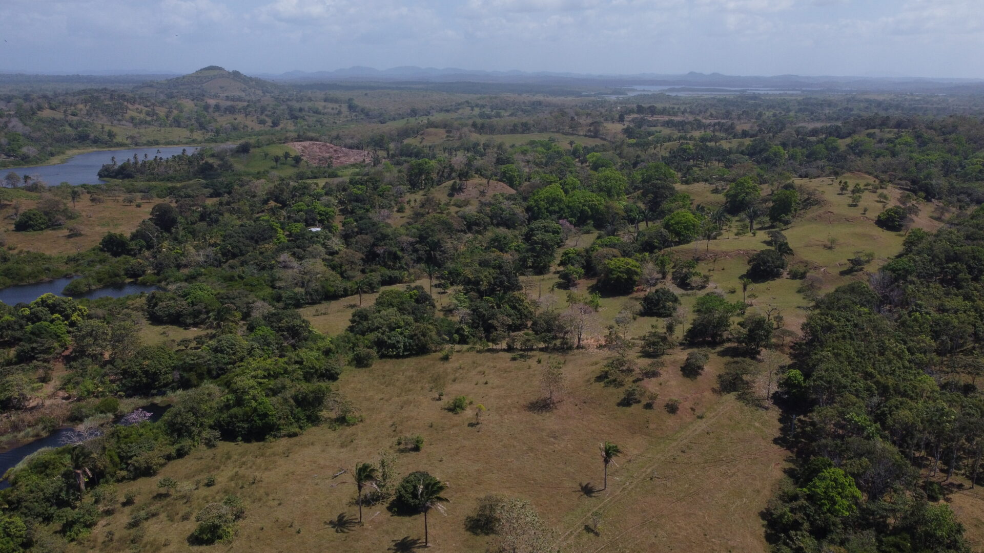 Panoramic view of a semi-arid landscape with scattered trees and distant hills under a hazy sky.