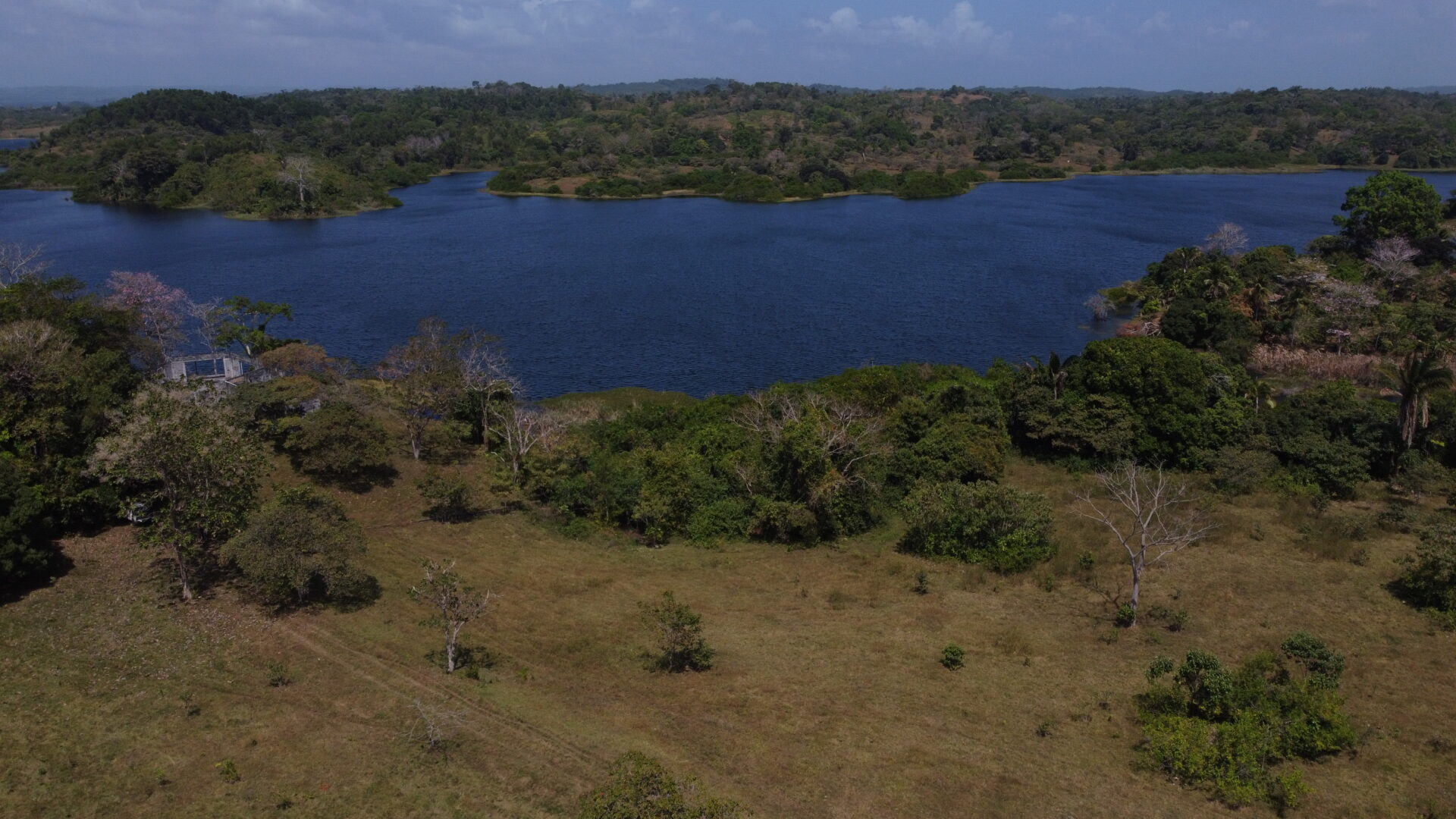 A serene lake surrounded by green trees and grassy land under a blue sky.