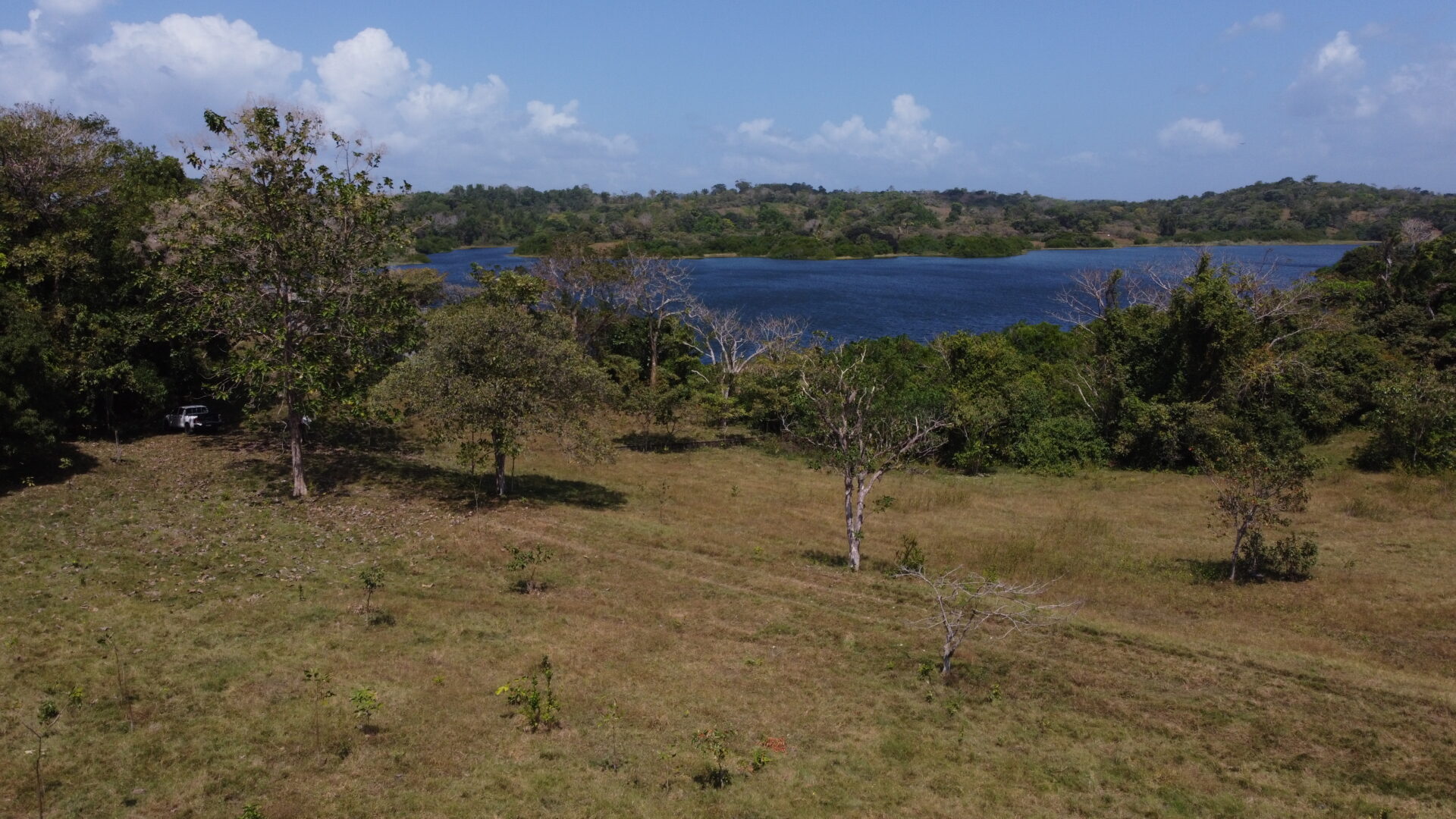 A serene lake surrounded by trees under a clear sky.