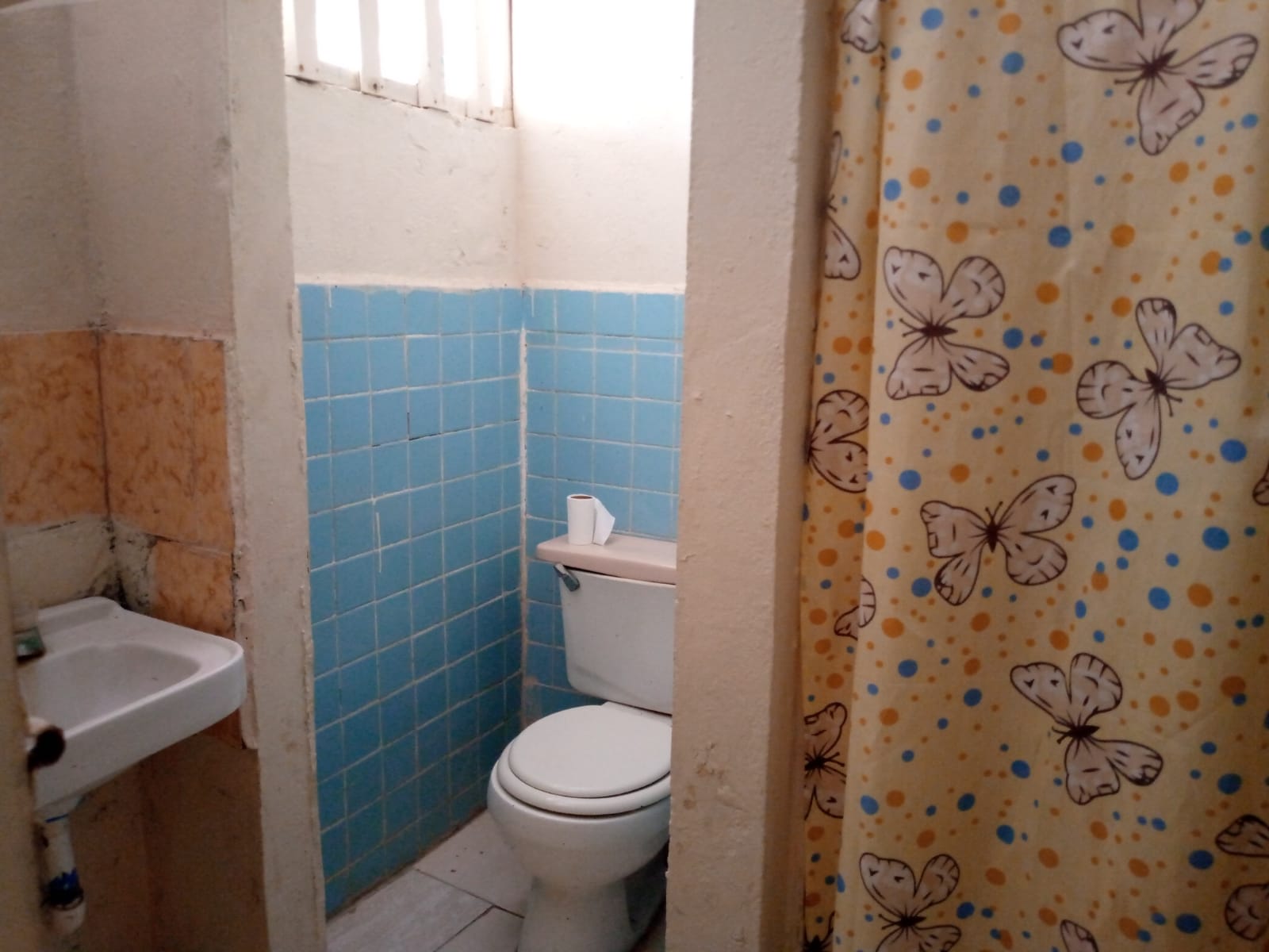 Small bathroom with blue tiles and a shower curtain.
