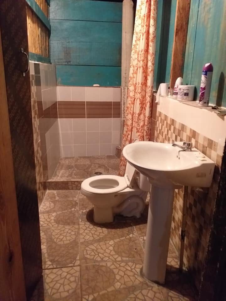 Small bathroom with toilet, pedestal sink, and shower area.