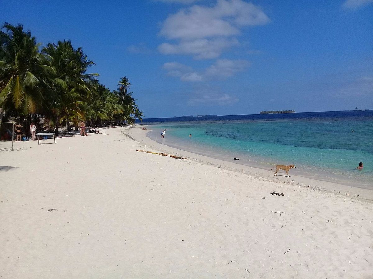 A serene beach with white sand and clear blue water under a sunny sky.