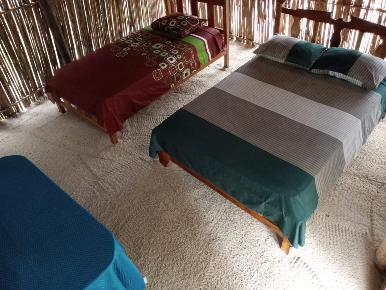Cozy room with neatly made beds and warm blankets.