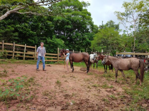 A man standing next to horses in the dirt.
