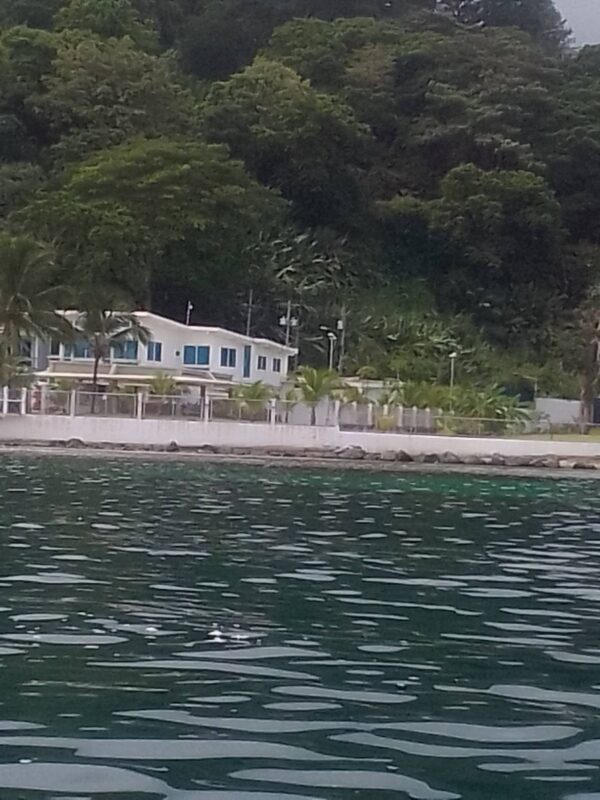 A house on the beach with trees in the background