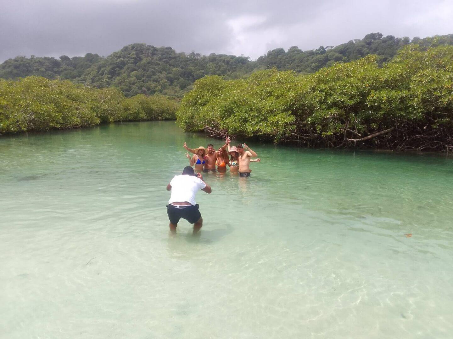 A group of people in the water with trees.