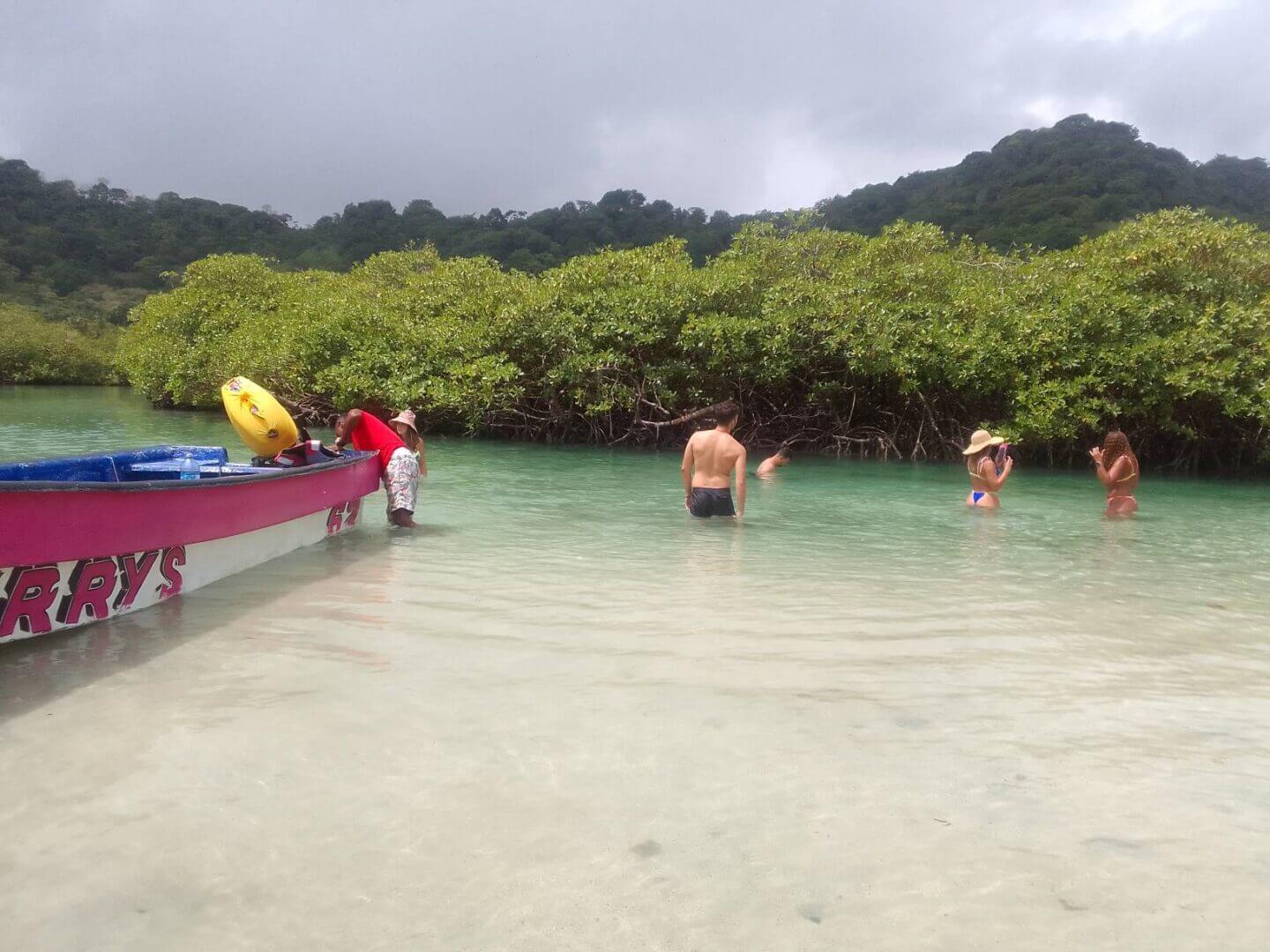 A group of people in the water near trees.