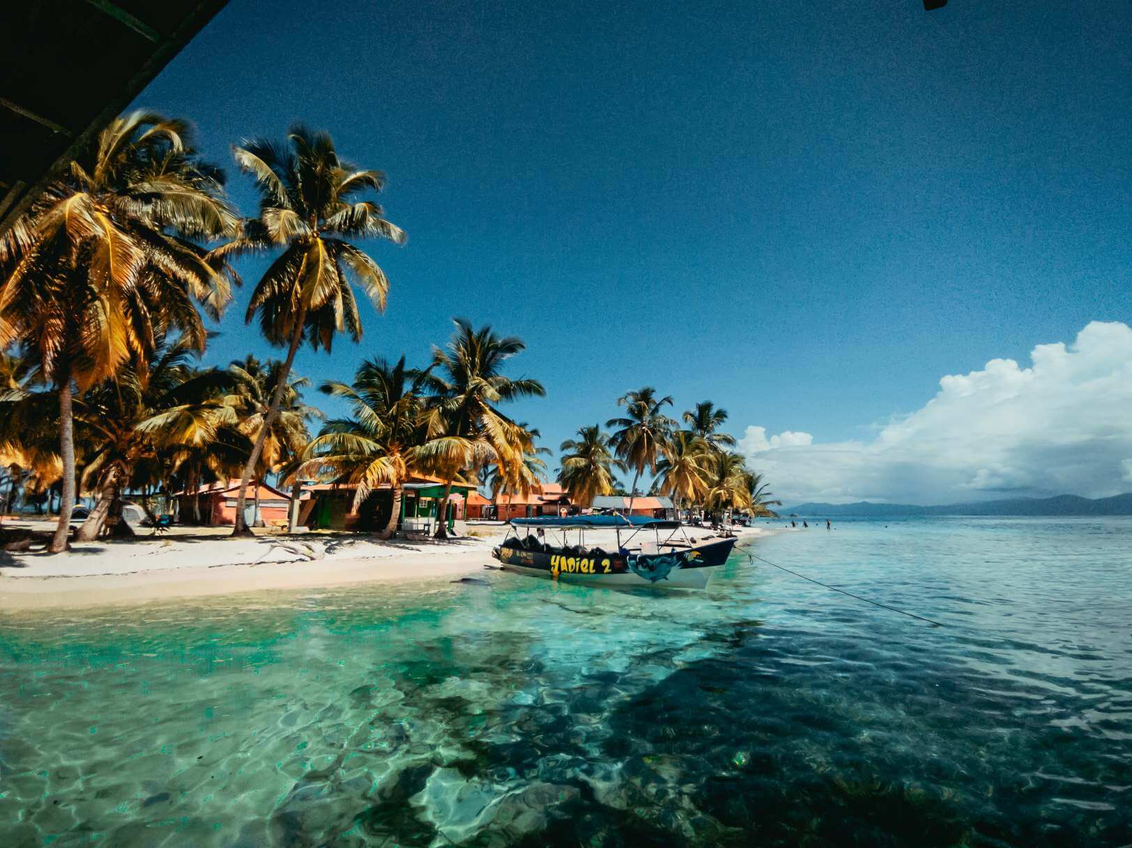 A beach with palm trees and boats in the water.