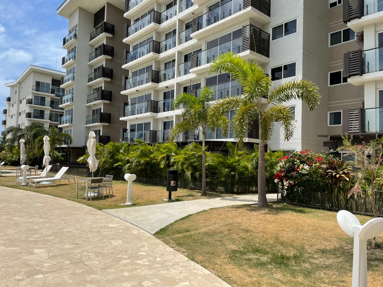 Sunny courtyard with palm trees and balconies in an apartment complex.