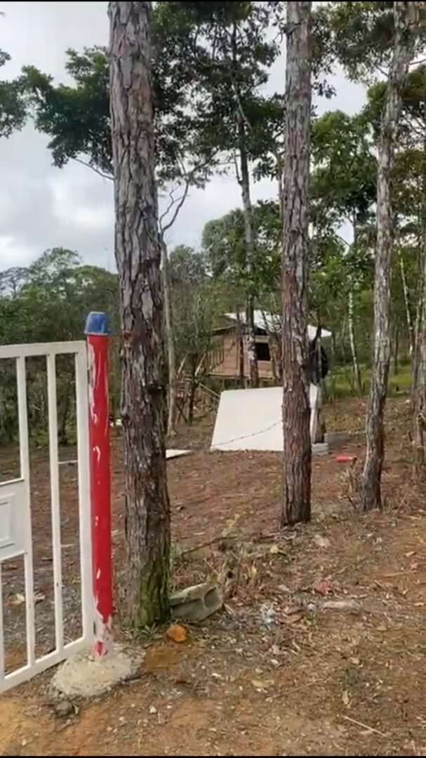 A red and white post near trees with a small cabin in the background.