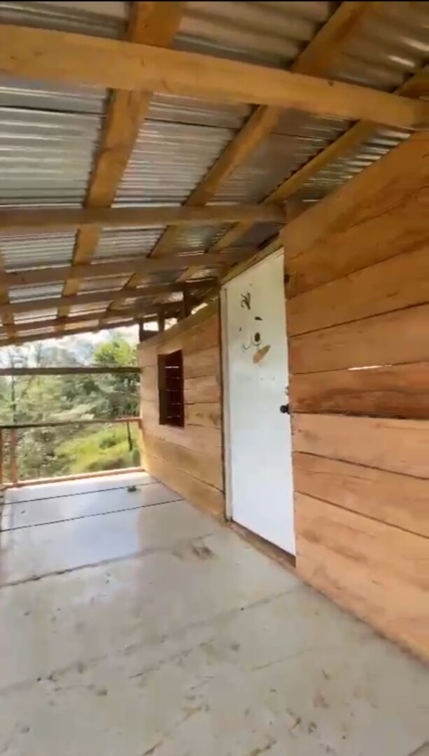 A wooden cabin porch with a white door and a roof.